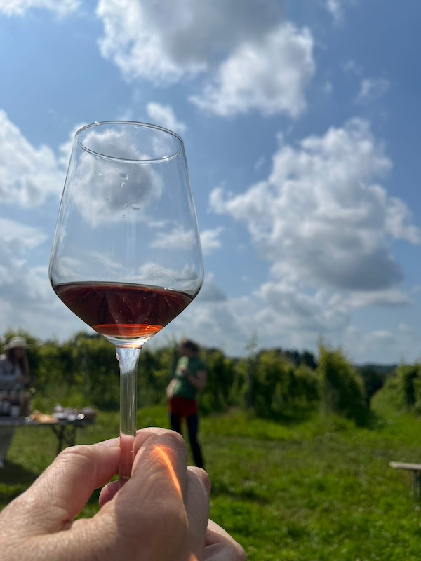 2025 08 08 DAB SH Weinbergwanderung Weinglas