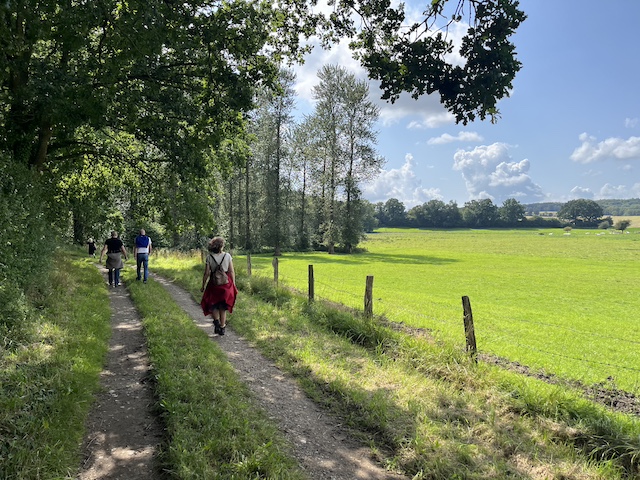 2025 Weinberg Feldrand Rinder