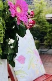 IMG_3987.jpg